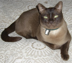 Hugo